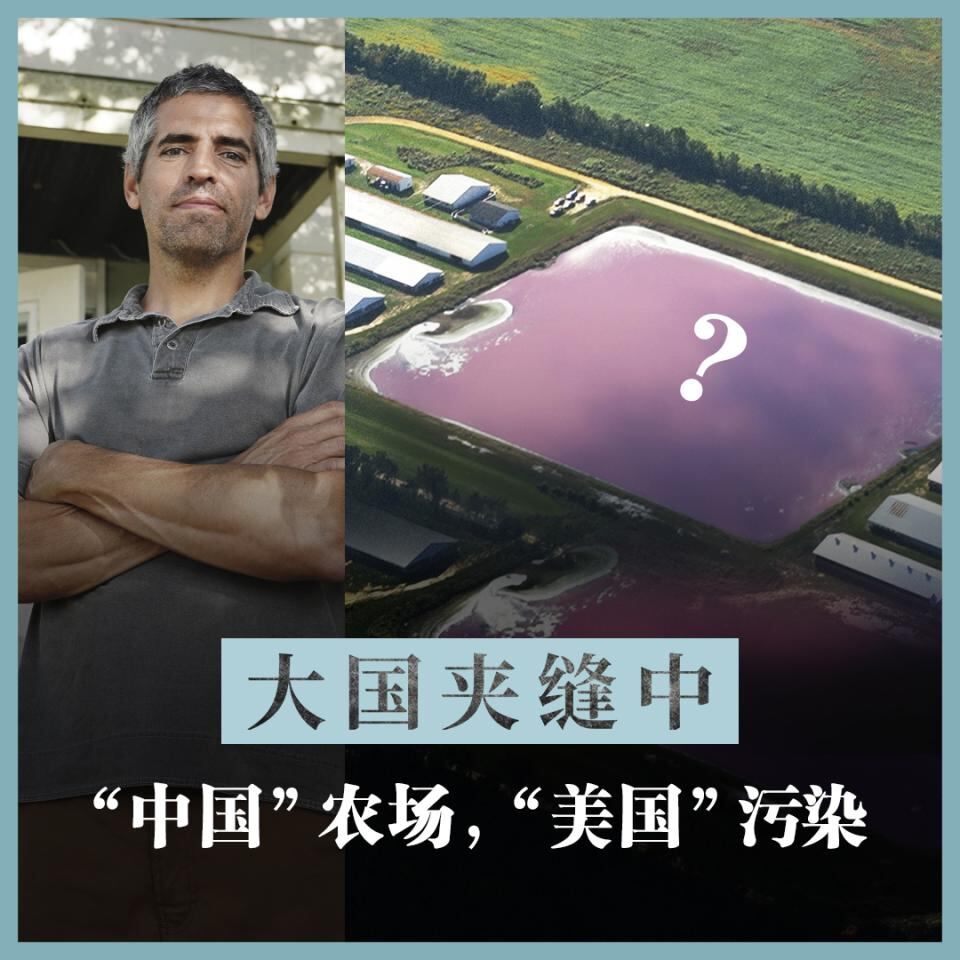 大国夹缝中:“中国”农场制造的“美国”污染